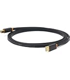 Amazon.co.jp: ACOUSTIC REVIVE PC-TripleC導体 USBケーブル